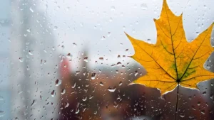 По программе арендного жилья для специалистов в Риге построят 732 квартиры