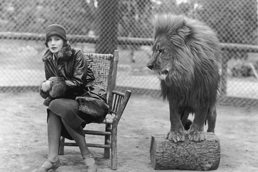 MIX TV: ИТОГИ НЕДЕЛИ (ВИДЕО)