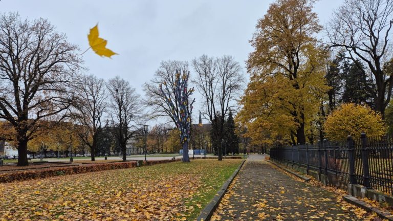 Стылое воскресенье: облака, сырость и первые намёки зимы