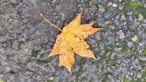 Госбюджет-2026: Минфин нашёл дополнительные 22 миллиона евро - куда направят деньги