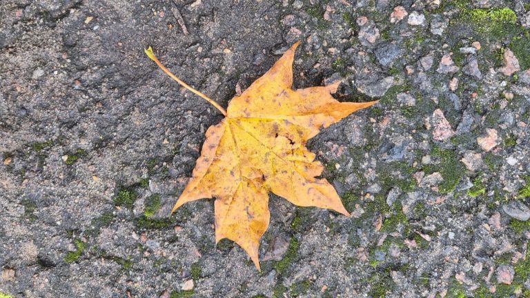 Ночь принесёт снег, а понедельник - сырую и скользкую погоду по всей Латвии