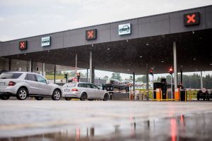 Новое исследование: этот тип чая признан самым мощным эликсиром молодости