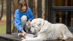 Выберите яйцо и узнайте, какой вы человек - жесткий или спонтанный