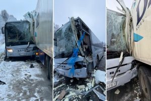 Оплата с помощью ладони: латвийский стартап запускает биометрические платежи