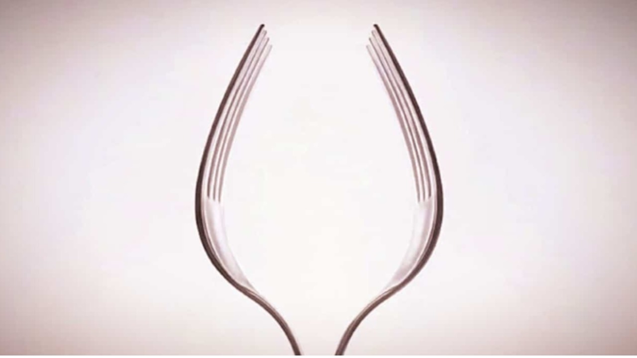 Валдис Затлерс [едет в Америку]