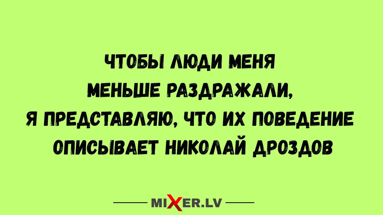 Почти все изъятые у рижанки 58 собак нашли новый дом: слепая Лиза тоже ищет хозяина