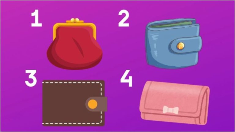 Выберите кошелек и узнайте, что мешает вам разбогатеть: тест покажет, расточительны ли вы, трудолюбивы или счастливы