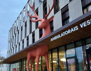 Латвия вошла в число лидеров ЕС по низкому уровню досрочного прекращения обучения в школах