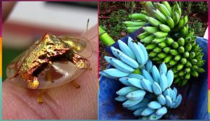 Овны, Раки, Козероги и Стрельцы в гороскопе Анжелы Перл на пятницу 21 ноября