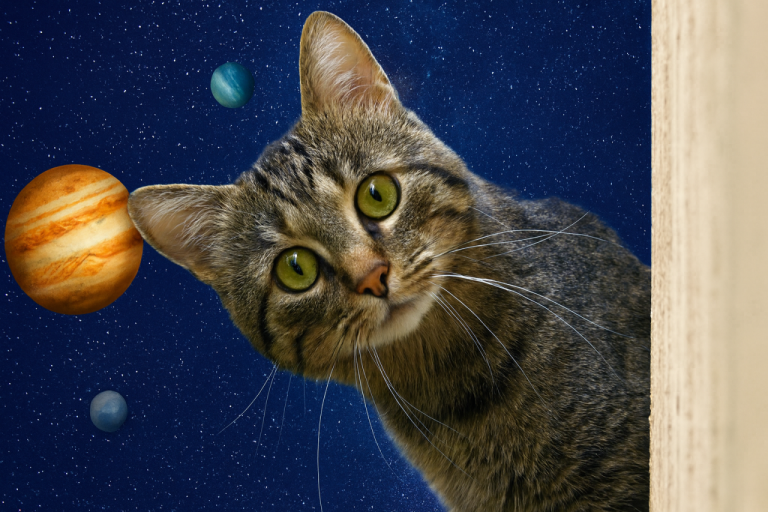 Их любопытство не знает границ: эти знаки зодиака всегда задают вопросы