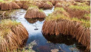 «Зеленая лампа»: на лечение 10-летнего Кристофера не хватает 5 000 евро