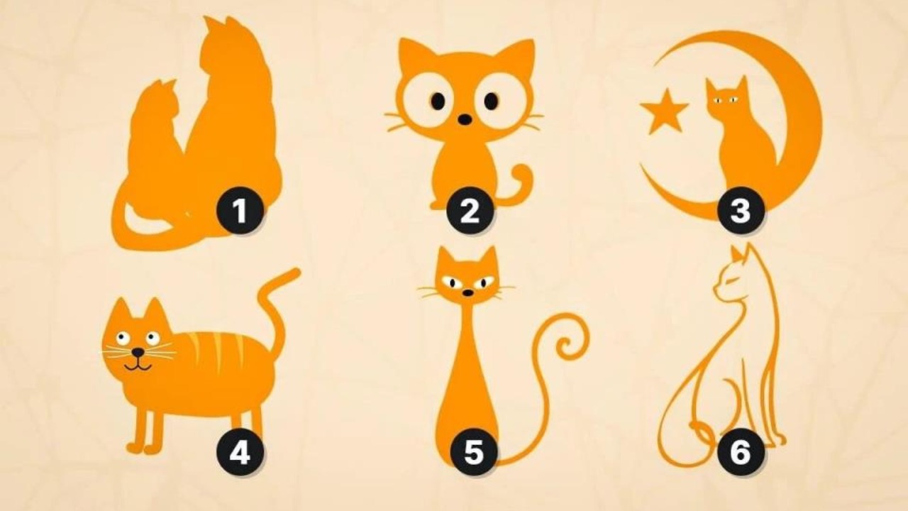 Что расскажет о вас выбранный вами кот? Этот тест покажет, открыты ли вы ко всем людям или не терпите поверхностности