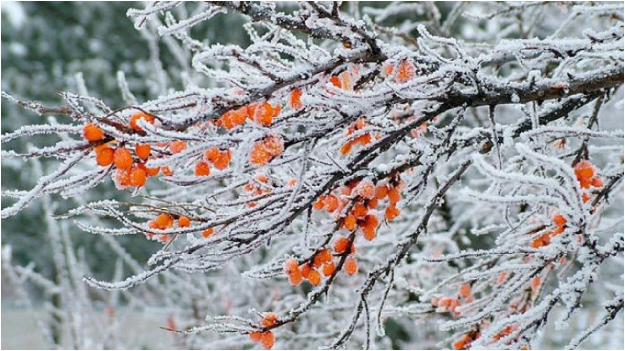 В выходные будет cолнечно, но в понедельник придёт снежный циклон