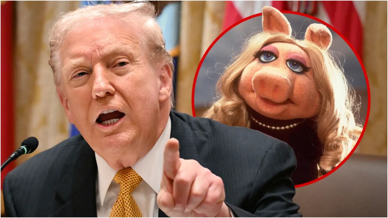 Белый дом защищает Трампа, назвавшего женщину-журналиста «свинкой»