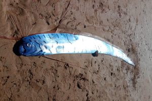 Названы 10 лучших баров мира. Где они находятся