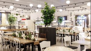 Эвика Силиня едет в Ватикан на встречу с Папой Римским Львом XIV