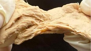 Цены на газ в Европе упали до минимума на фоне тёплого прогноза и дипломатических сигналов