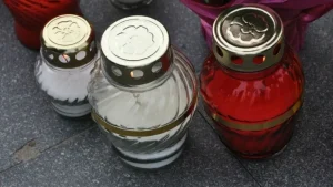 Они приходят ночью: в Латгалии стремительно растёт число нападений волков на домашних животных