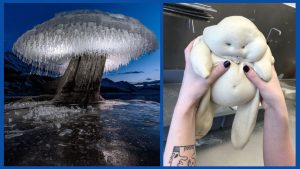 Как распознать Стрельца за километр?!