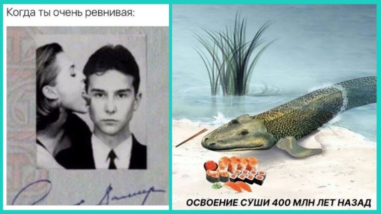 Юмор для тех, кто уже повзрослел и понял, что «мечта» - это чтобы робот-пылесос не застревал