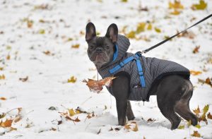 Рига людей не удерживает? Половина жителей столицы готова переехать в малые города или деревни