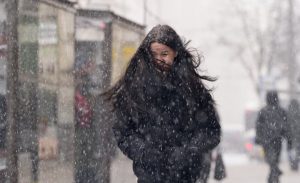 В Латвии сравнили стоимость потребительских корзин и назвали сеть с самыми низкими ценами (+опрос)