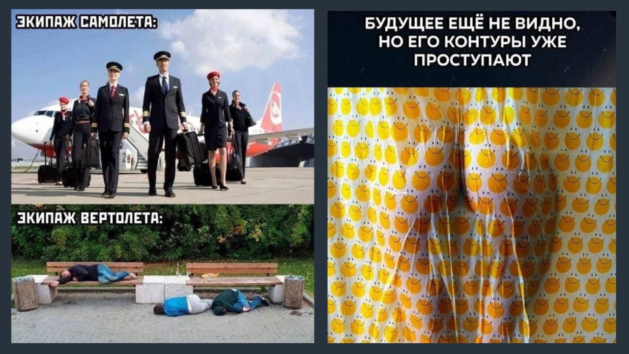 Главный клерк, менеджер и аудитор: японская компания наняла на работу 10 кошек