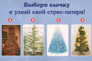 Как проверить - это любовь или привычка? Быстрый любовный тест