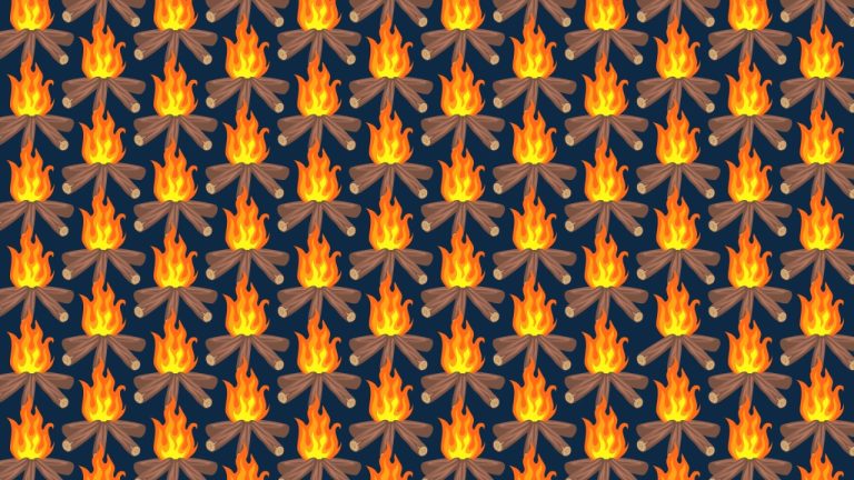 Полено пропало! Только самые внимательные увидят ошибку в огненной загадке