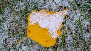 Погода на выходные и прогноз на следующую неделю