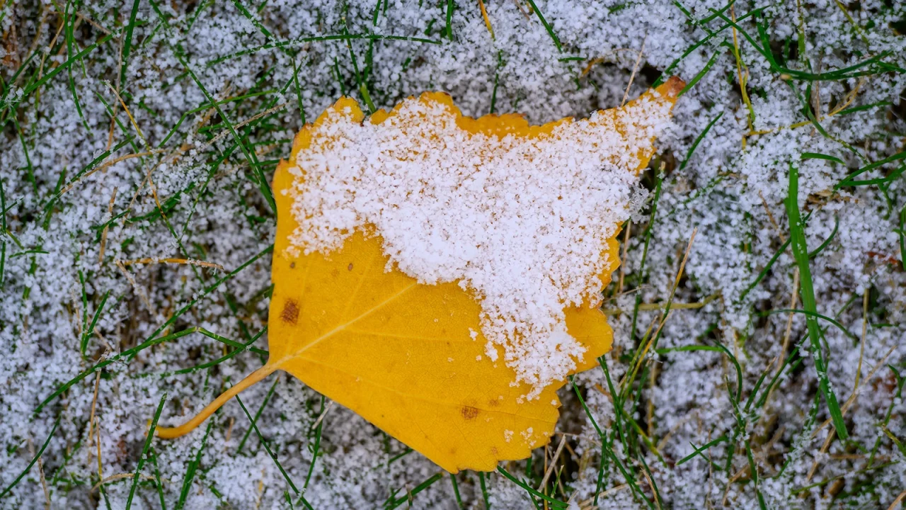 Погода на выходные: мокрый снег, а местами - ледяной дождь