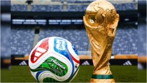 В Японии - рекордный рост нападений медведей: очередной случай произошёл в общественном туалете