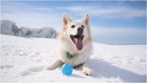 KNAB объявил новый набор тайных агентов: требования, зарплаты и детали конкурса