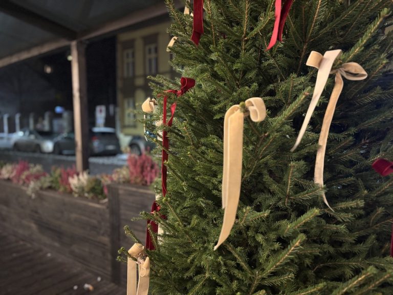 3 причины, почему в этом году 🎄ёлка у меня стоит уже с середины ноября