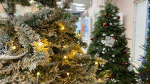 Министерство образования уточняет порядок и сроки проведения централизованных экзаменов