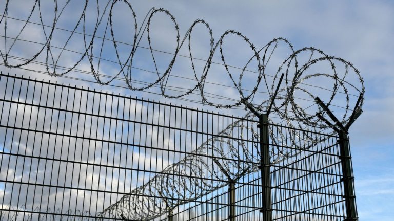 Усиленный режим погранохраны на границе с Беларусью продлят ещё на полгода