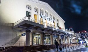 Назван топ-5 пород собак с самым высоким эмоциональным интеллектом