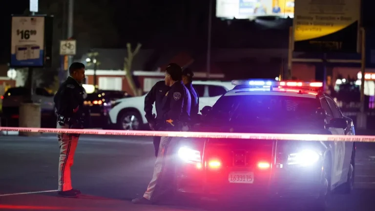 Стрельба на детском дне рождения в Калифорнии: четверо погибших, 10 раненых