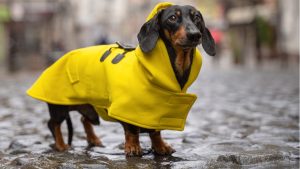 В Латвии обледенели многие дороги