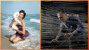 Что означает, когда кто-то поднимает одну бровь во время разговора? Мнение экспертов может вас удивить!