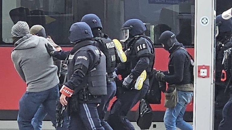 В Австрии задержали мужчину, угрожавшего захватить в поезде заложников