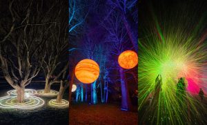 Почему в Латвии не принимают стеклянные банки от соусов и консервов