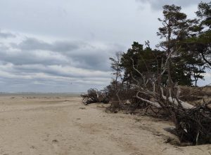 Он провёл 25 лет в Елгавской тюрьме и не хочет выходить на свободу