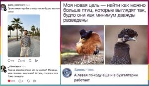 Стресс-тест для памяти, логики и скорости мышления: математический челлендж на 20 секунд