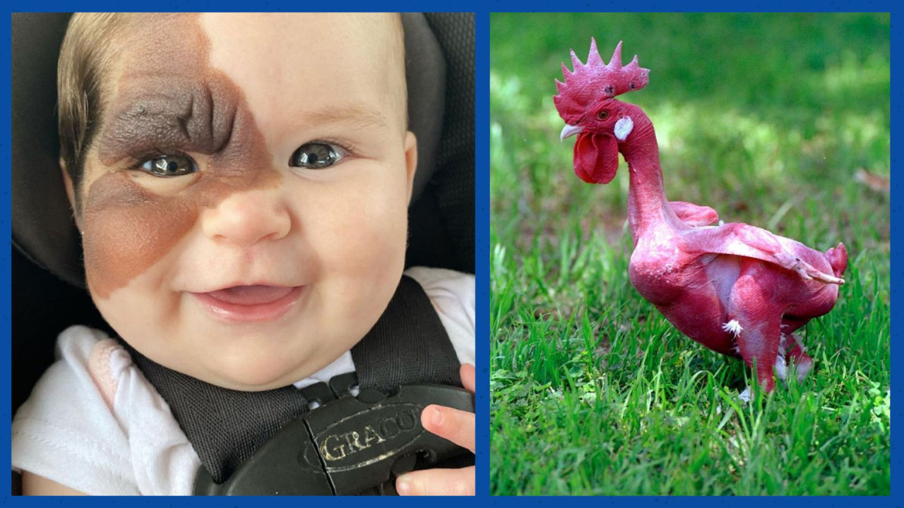 Известно, где будут проходить службу первые призывники Службы гособороны