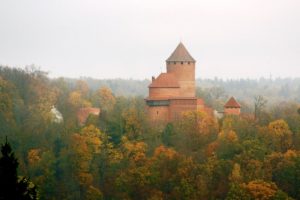 В Латвии водителей приглашают тестировать новый способ фиксации ДТП чрез Telegram и WhatsApp