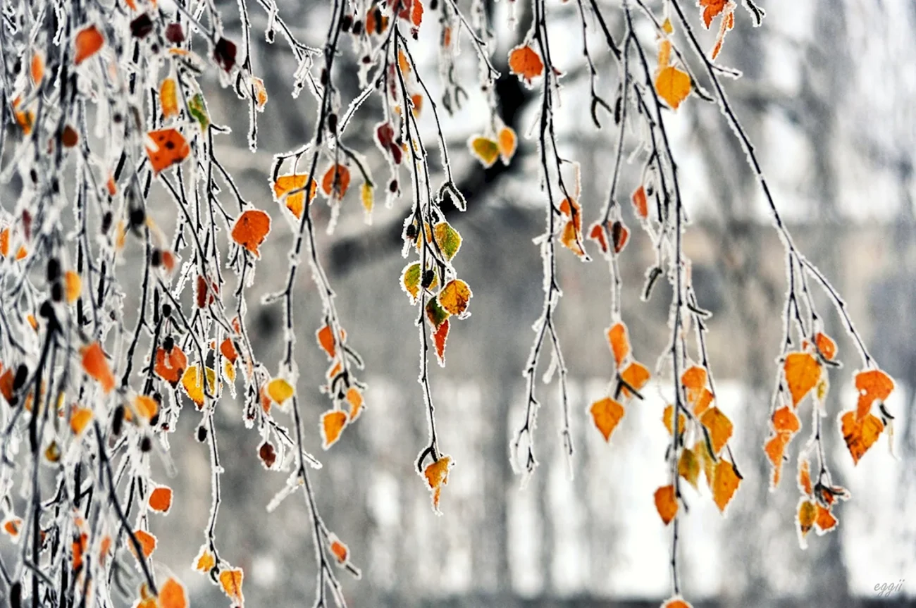 Новый фильм Бенни Сэфди бьёт в самое сердце, а Дуэйн Джонсон меняет правила игры