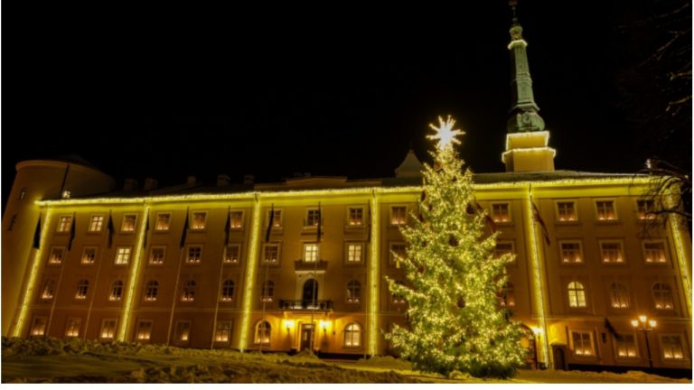Президент Ринкевич с многодетными семьями зажжёт ёлку у замка