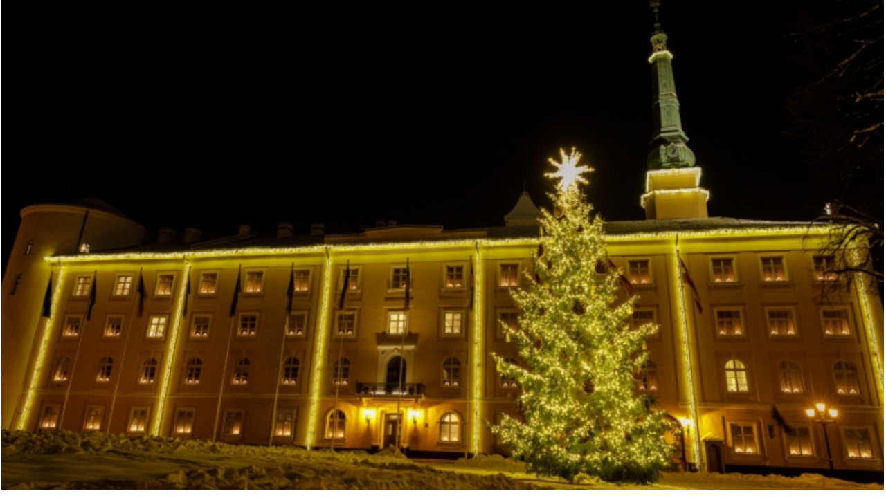 Президент Ринкевич с многодетными семьями зажжёт ёлку у замка