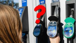 «Rīgas meži» призывает не вырубать в лесах рождественские ёлки